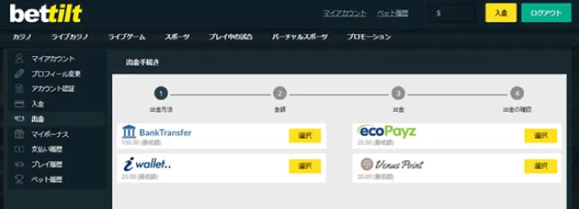 Bettilt(ベットティルト)の豊富な入金方法!